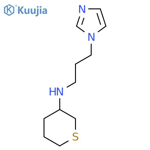 N-[3-(1H-imidazol-1-yl)propyl]thian-3-amine structure