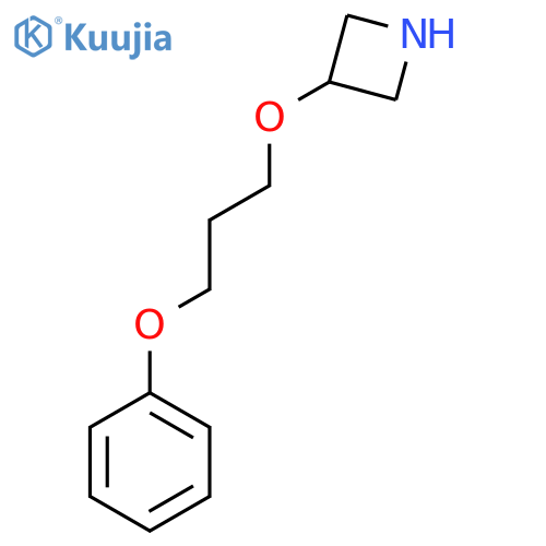 3-(3-phenoxypropoxy)azetidine structure