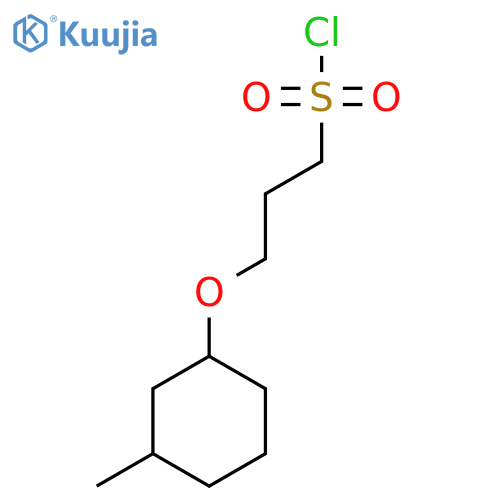 3-(3-methylcyclohexyl)oxypropane-1-sulfonyl chloride structure