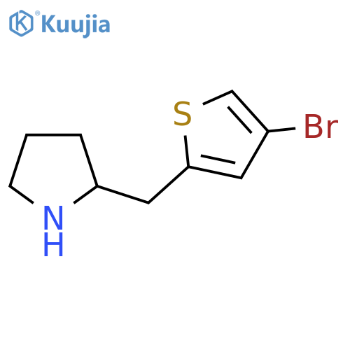 2-(4-bromothiophen-2-yl)methylpyrrolidine structure