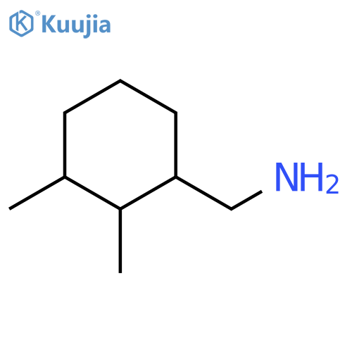 (2,3-dimethylcyclohexyl)methanamine structure