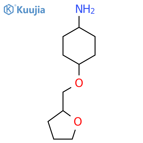 4-[(Oxolan-2-yl)methoxy]cyclohexan-1-amine structure