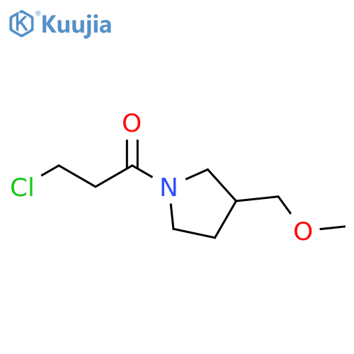 3-chloro-1-[3-(methoxymethyl)pyrrolidin-1-yl]propan-1-one structure