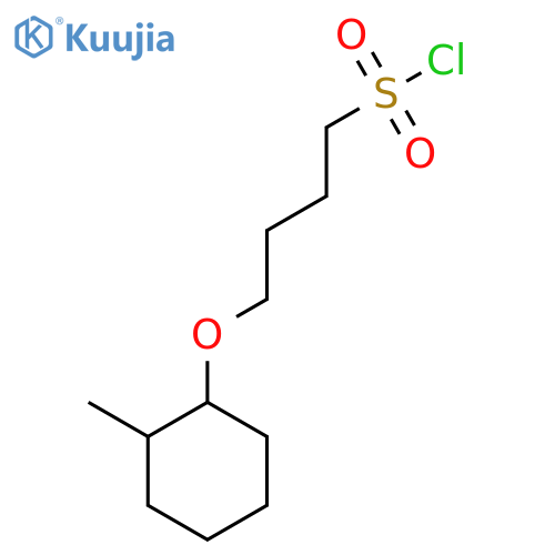 4-(2-methylcyclohexyl)oxybutane-1-sulfonyl chloride structure