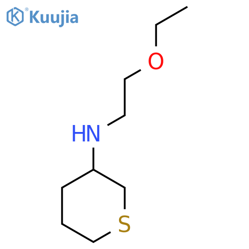 N-(2-ethoxyethyl)thian-3-amine structure