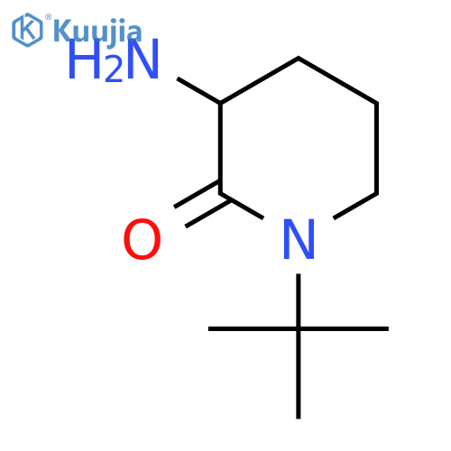 3-amino-1-tert-butylpiperidin-2-one structure