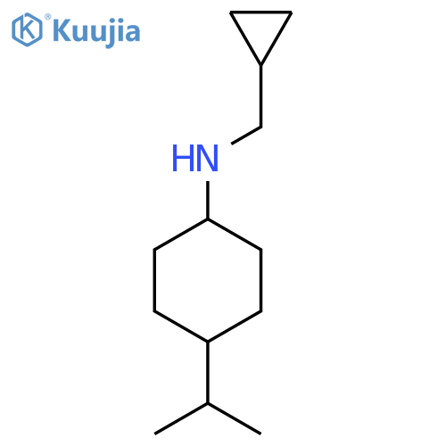 N-(Cyclopropylmethyl)-4-(propan-2-yl)cyclohexan-1-amine structure