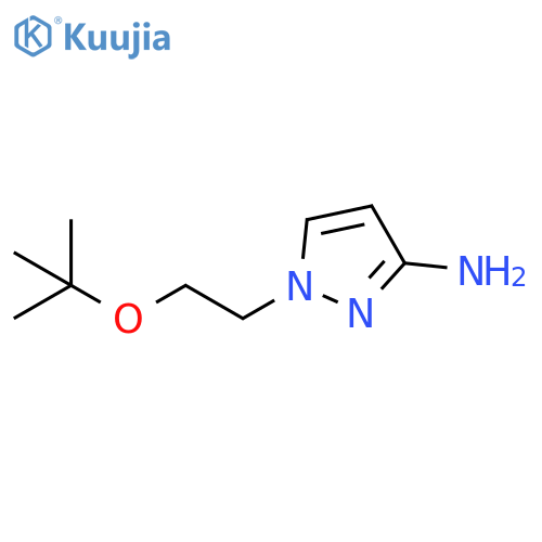 1-2-(tert-butoxy)ethyl-1H-pyrazol-3-amine structure