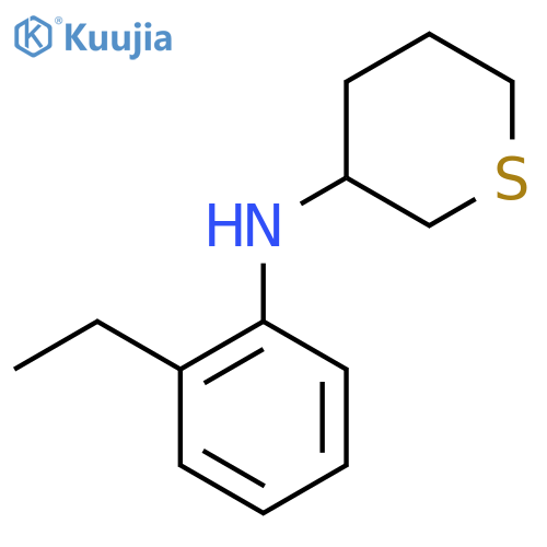 N-(2-ethylphenyl)thian-3-amine structure