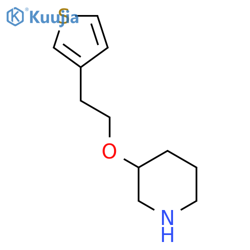 3-2-(thiophen-3-yl)ethoxypiperidine structure