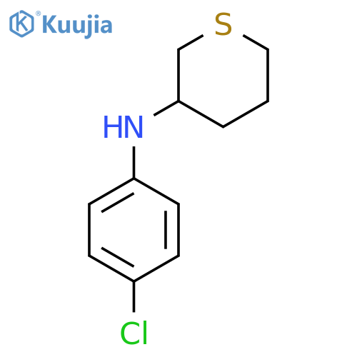 N-(4-chlorophenyl)thian-3-amine structure