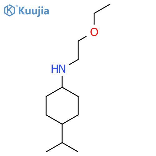 N-(2-Ethoxyethyl)-4-(propan-2-yl)cyclohexan-1-amine structure