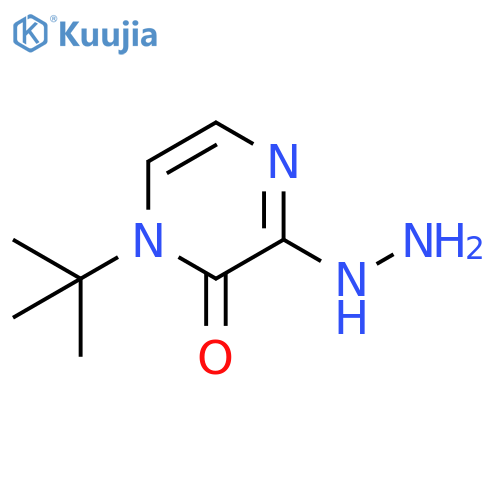 1-tert-butyl-3-hydrazinyl-1,2-dihydropyrazin-2-one structure