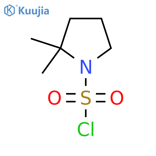 2,2-Dimethylpyrrolidine-1-sulfonyl chloride structure