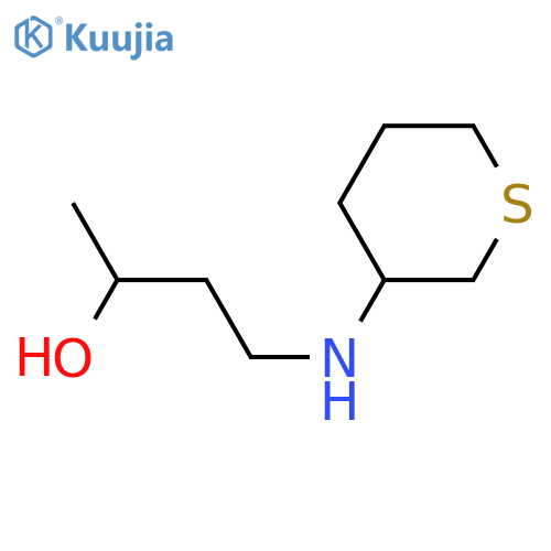 4-[(thian-3-yl)amino]butan-2-ol structure