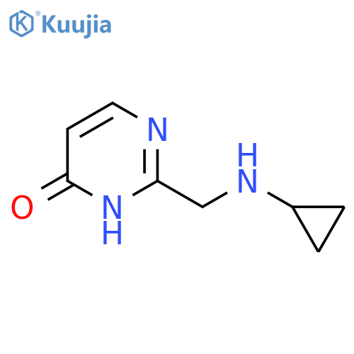 2-(cyclopropylamino)methyl-3,4-dihydropyrimidin-4-one structure