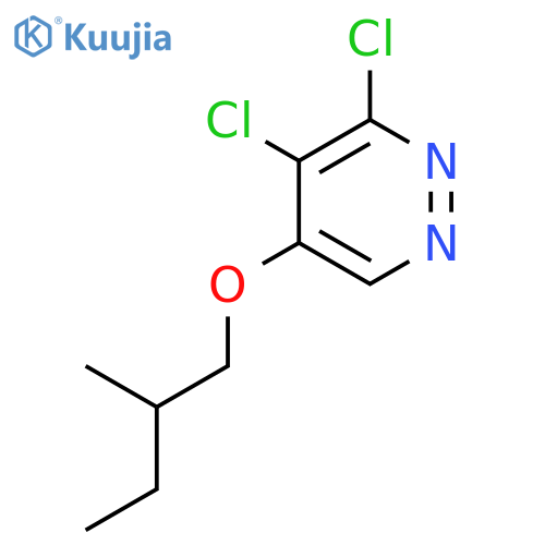 3,4-Dichloro-5-(2-methylbutoxy)pyridazine structure