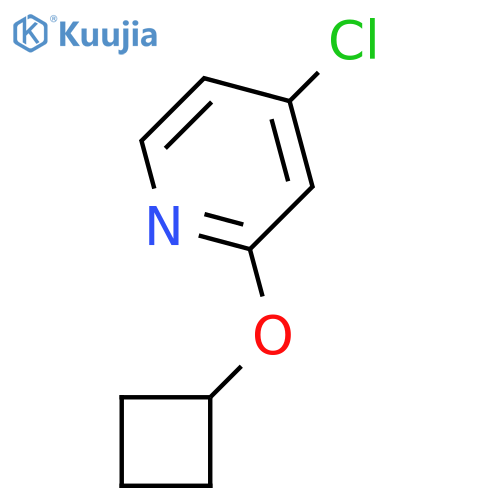 4-Chloro-2-cyclobutoxypyridine structure