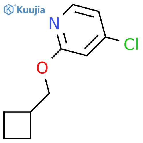 4-Chloro-2-(cyclobutylmethoxy)pyridine structure