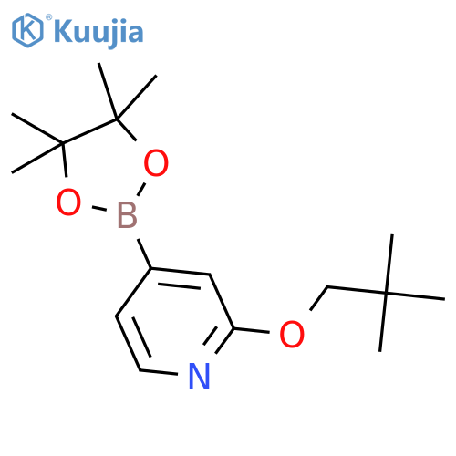 2-(Neopentyloxy)-4-(4,4,5,5-tetramethyl-1,3,2-dioxaborolan-2-yl)pyridine structure