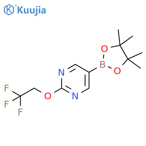 5-(tetramethyl-1,3,2-dioxaborolan-2-yl)-2-(2,2,2-trifluoroethoxy)pyrimidine structure
