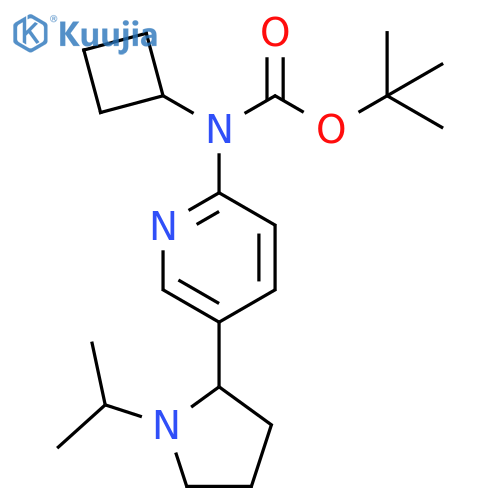 Cyclobutyl-[5-(1-isopropyl-pyrrolidin-2-yl)-pyridin-2-yl]-carbamic acid tert-butyl ester structure