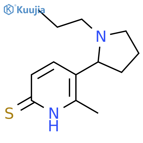 6-Methyl-5-(1-propyl-pyrrolidin-2-yl)-1H-pyridine-2-thione structure