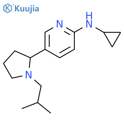 Cyclopropyl-[5-(1-isobutyl-pyrrolidin-2-yl)-pyridin-2-yl]-amine structure