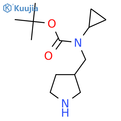 Cyclopropyl-pyrrolidin-3-ylmethyl-carbamic acid tert-butyl ester structure