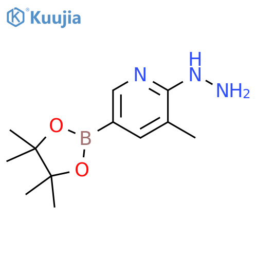 Pyridine, 2-hydrazinyl-3-methyl-5-(4,4,5,5-tetramethyl-1,3,2-dioxaborolan-2-yl)- structure