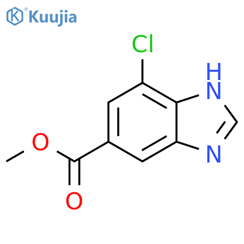 Methyl 7-chloro-1H-1,3-benzodiazole-5-carboxylate structure
