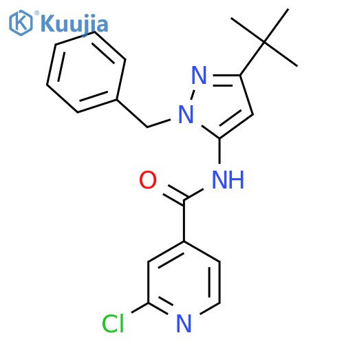 N-(1-benzyl-3-tert-butyl-1H-pyrazol-5-yl)-2-chloropyridine-4-carboxamide structure