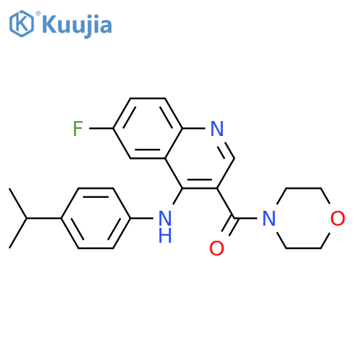 6-fluoro-3-(morpholine-4-carbonyl)-N-[4-(propan-2-yl)phenyl]quinolin-4-amine structure