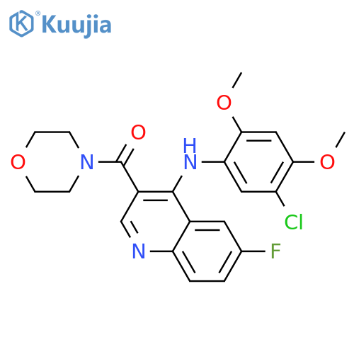 N-(5-chloro-2,4-dimethoxyphenyl)-6-fluoro-3-(morpholine-4-carbonyl)quinolin-4-amine structure