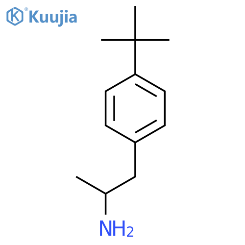 1-(4-tert-Butylphenyl)propan-2-amine structure