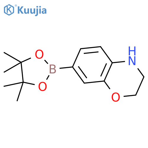 7-(4,4,5,5-tetramethyl-[1,3,2]dioxaborolan-2-yl)-3,4-dihydro-2H-benzo[1,4]oxazine structure