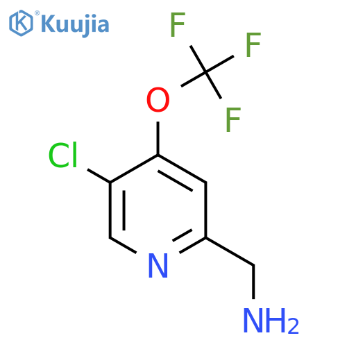 2-(Aminomethyl)-5-chloro-4-(trifluoromethoxy)pyridine structure