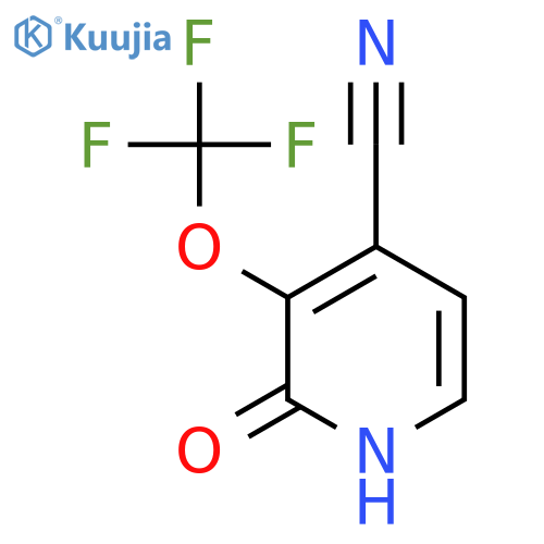 4-Cyano-2-hydroxy-3-(trifluoromethoxy)pyridine structure