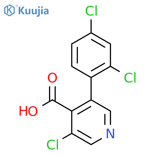 3-Chloro-5-(2,4-dichlorophenyl)isonicotinic acid structure