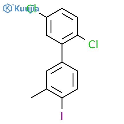 2,5-Dichloro-4'-iodo-3'-methyl-biphenyl structure