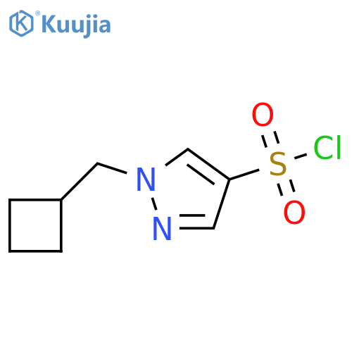 1-(CYCLOBUTYLMETHYL)-1H-PYRAZOLE-4-SULFONYL CHLORIDE structure