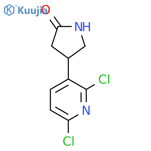4-(2,6-dichloropyridin-3-yl)pyrrolidin-2-one structure