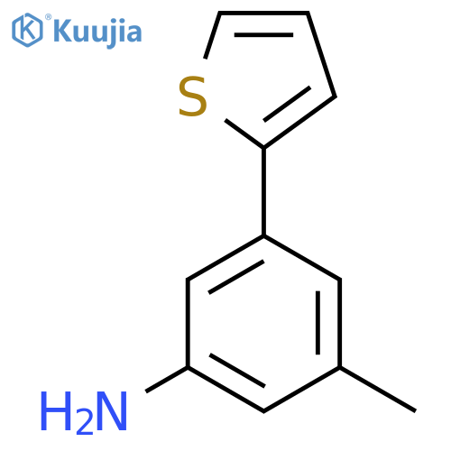 3-Methyl-5-(thiophen-2-YL)aniline structure