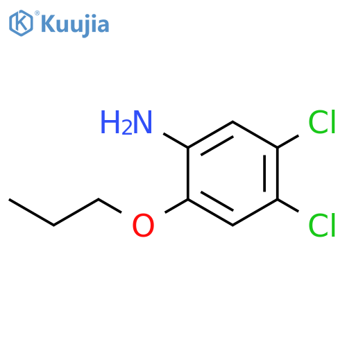 4,5-dichloro-2-propoxyaniline structure
