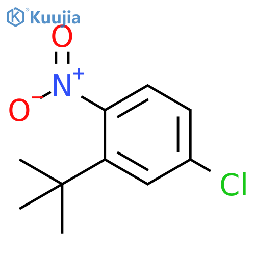 Benzene, 4-chloro-2-(1,1-dimethylethyl)-1-nitro- structure