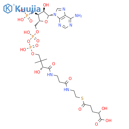 Coenzyme A, S-[1-hydrogen 2-hydroxypentanedioate], (R)- (9CI) structure