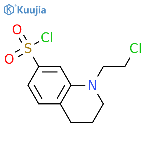 1-(2-chloroethyl)-1,2,3,4-tetrahydroquinoline-7-sulfonyl chloride structure