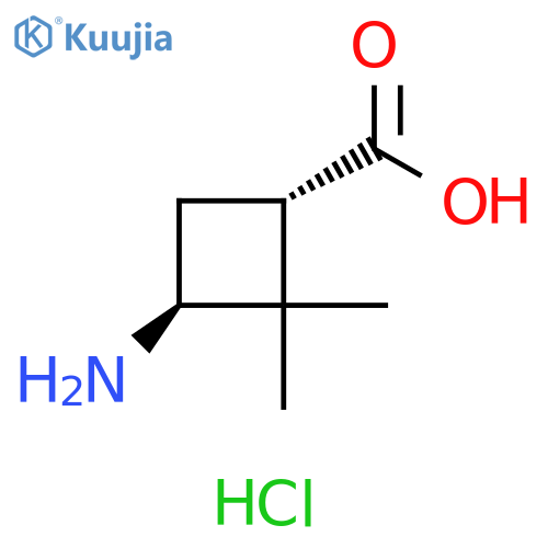 trans-3-Amino-2,2-dimethylcyclobutane-carboxylic acid hydrochloride structure