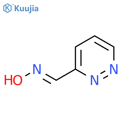 N-(pyridazin-3-yl)methylidenehydroxylamine structure