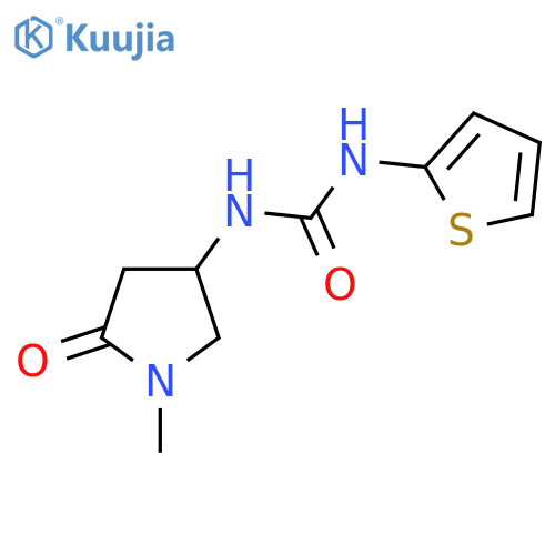 3-(1-methyl-5-oxopyrrolidin-3-yl)-1-(thiophen-2-yl)urea structure